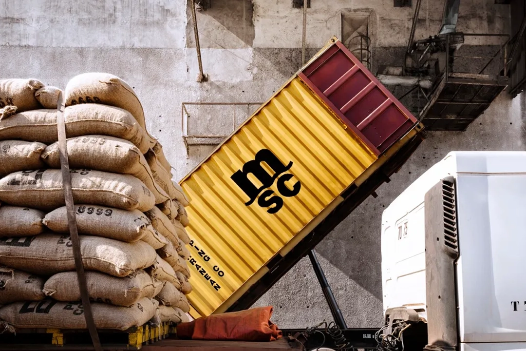 石狮到绥化物流公司